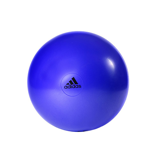 Gymball - 55cm Flash Purple